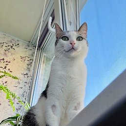 ������, ������, 24 ����