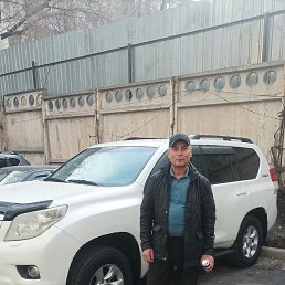 ��������, �������, 56 ���