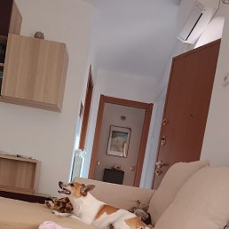 ������, ������, 71 ���