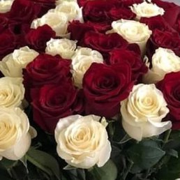 ���� ���, ������, 38 ��� - ��������� 17 ������� 2023