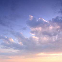 ������, ������, 47 ���