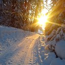 ���� �����, ������� - ��������� 29 ��� 2023 � ������ ���� ����������