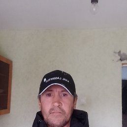 ����, �������, 48 ���