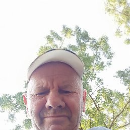 Nicolai, �������, 70 ���