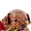 ���� ������, ��������, 50 ��� - ��������� 6 ����� 2023 � ������ ���� ����������