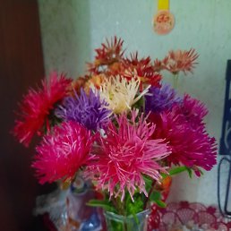 ����, �������� ����, 55 ���