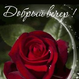 ���� �������, ������, 62 ���� - ��������� 3 �������� 2023