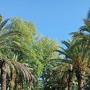 ���� ������, ����������, 44 ���� - ��������� 1 ������� 2023