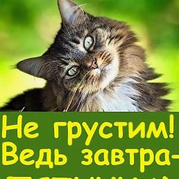 ��������, ����, 40 ���