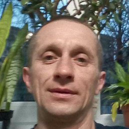 �������, �������, 46 ���