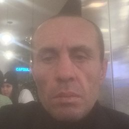 �����, ������������, 48 ���