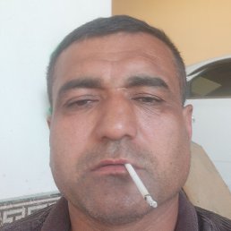 ������, �����, 49 ���