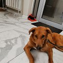 ���� ������, ��������, 35 ��� - ��������� 15 ���� 2023 � ������ ���� ����������