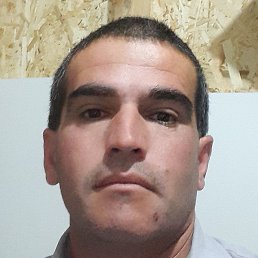 ����, ������, 40 ���