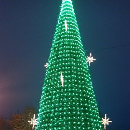 ��������, ������, 24 ����