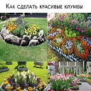 ���� ����, ������, 49 ��� - ��������� 27 ������� 2023