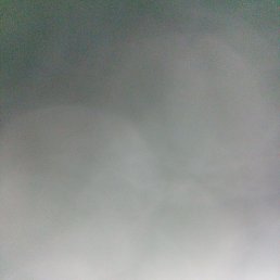 �����, ������, 39 ���