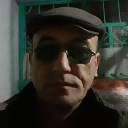 ������, �������, 49 ���