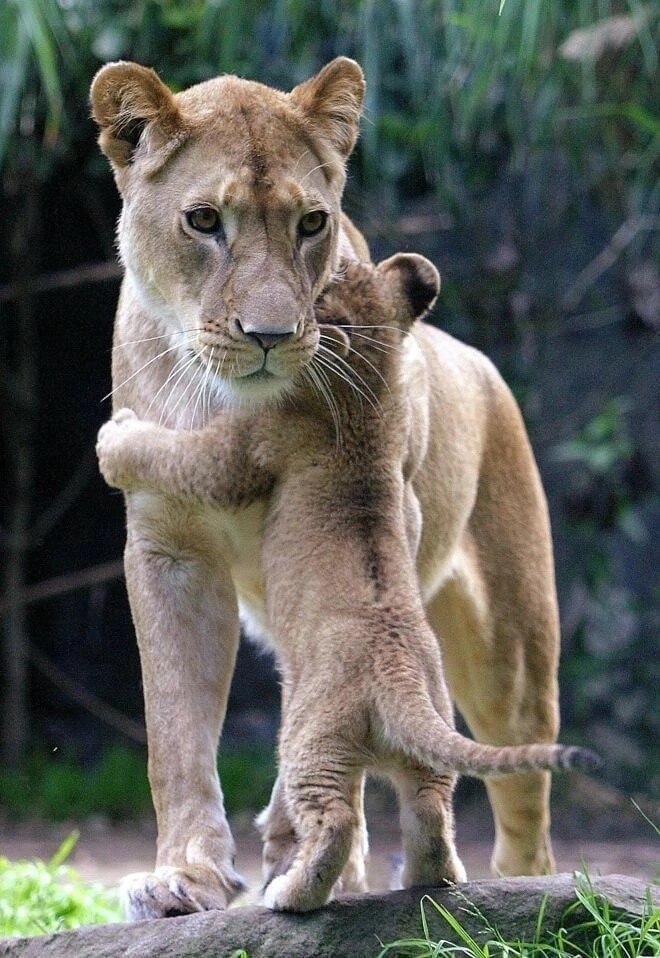  -   ,  -  ! ~ ~ ~ ~ ~ ~ ~ ~ ~ ~ ~ ~ ~ ~ ~