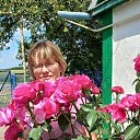 ���� ���������, ���������, 52 ���� - ��������� 6 �������� 2023