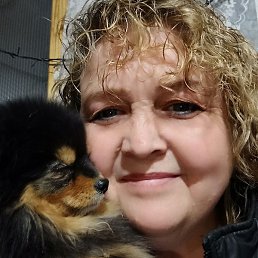 �������, ���������, 52 ����