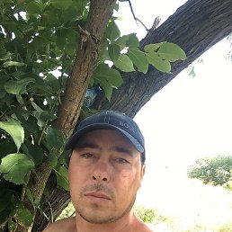 ����, ������-��-����, 45 ���