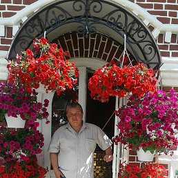 ����, ������, 52 ����