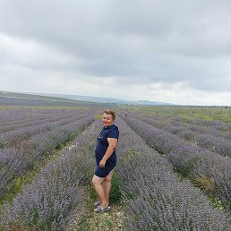 ����, ����������, 49 ���