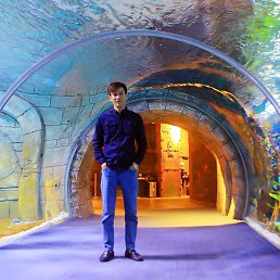 ������, �������, 29 ���