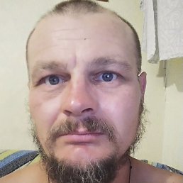 �����, �����, 44 ����