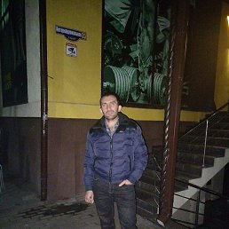 �����, �������, 43 ����