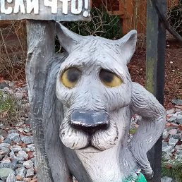 �������, �����������, 55 ���