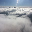 ���� ������, ������, 40 ��� - ��������� 15 ���� 2023 � ������ ���� ����������