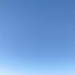 ������, �����������, 66 ���