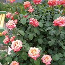 ���� ������, ������, 66 ��� - ��������� 28 �������� 2023 � ������ ���� ����������