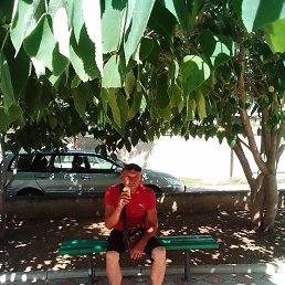 �������, �����������, 56 ���