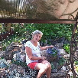 �������, �����������, 67 ���