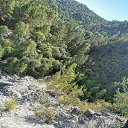 ���� �����, ������, 42 ���� - ��������� 15 �������� 2023