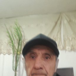 ���� �����, �������, 66 ��� - ��������� 8 ������� 2023