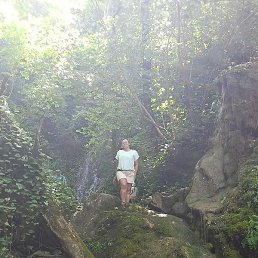 �����, ������, 36 ���