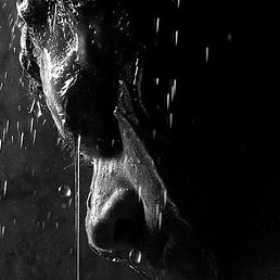 ������, �����, 57 ���