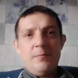 �������, ����������, 41 ���