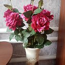 ���� �����, ������� - ��������� 8 ��� 2023