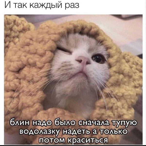    - 28  2023  13:37