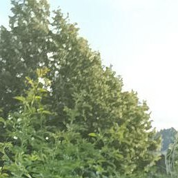 ����, ���������, 35 ���