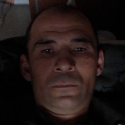 ���������, �����������, 44 ����