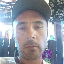 ����, ������, 41 ���