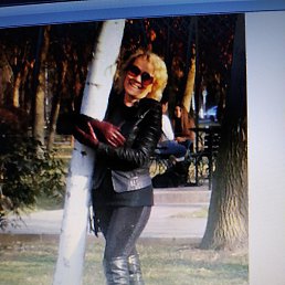 �����, �������, 49 ���