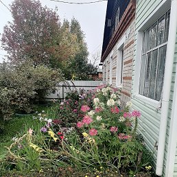 ���� ������, �����, 39 ��� - ��������� 24 �������� 2023