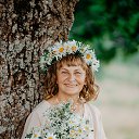 ���� ��������, �������, 62 ���� - ��������� 29 ��� 2023 � ������ ���� ����������